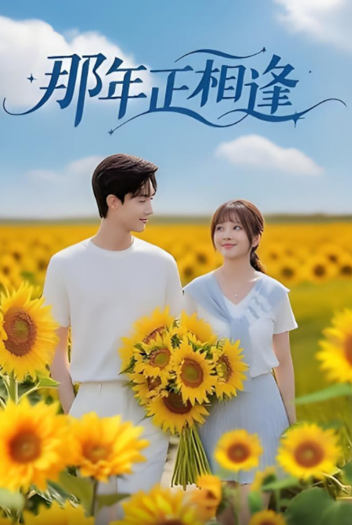 那年正相逢封面图