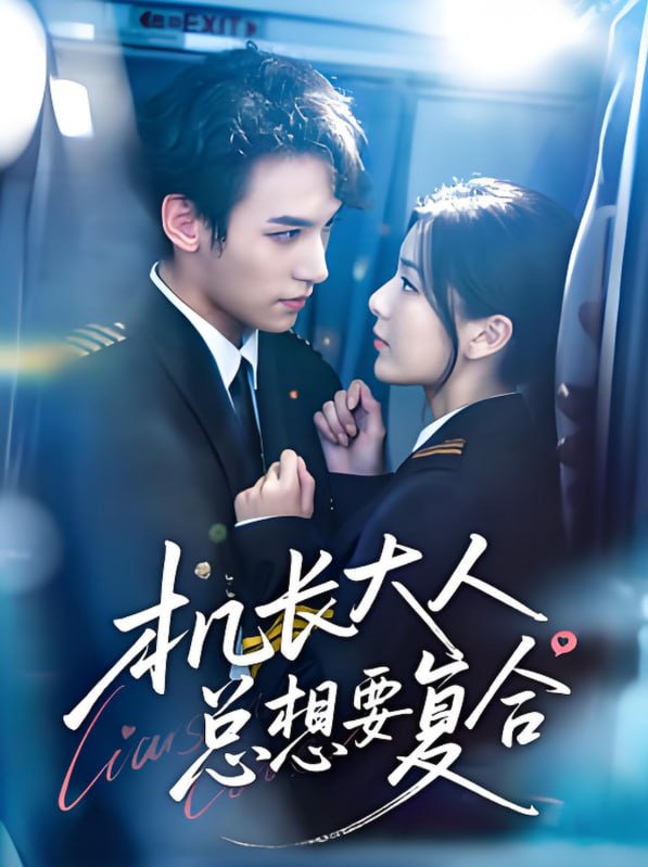 机长大人总想要复合封面图