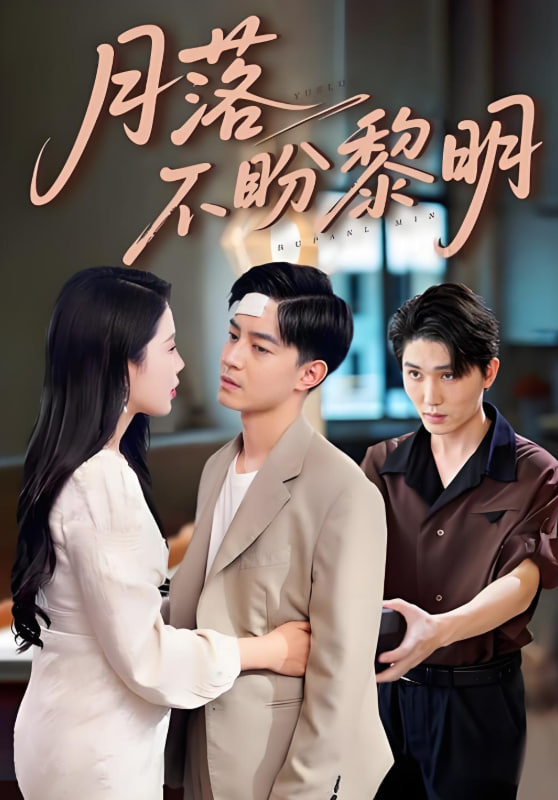 月落不盼黎明封面图