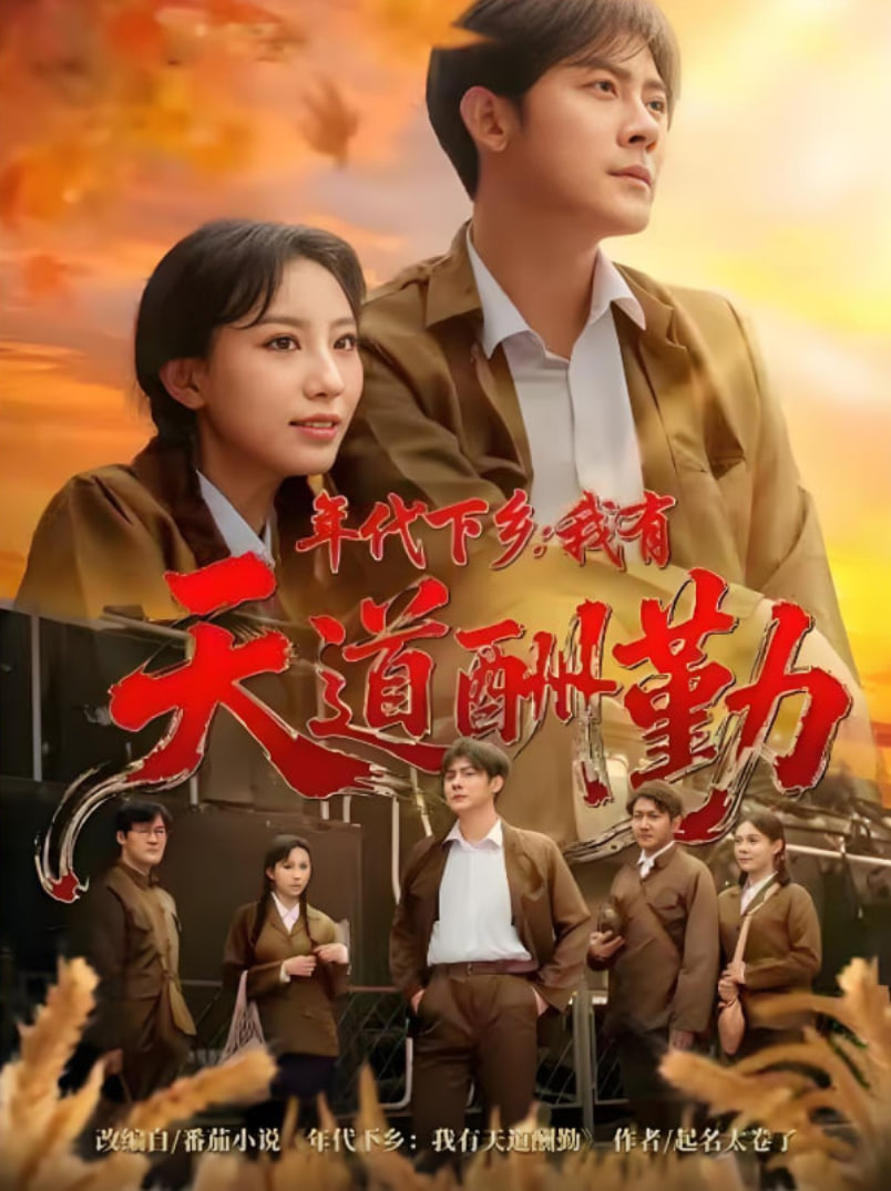 年代下乡我有天道酬勤封面图