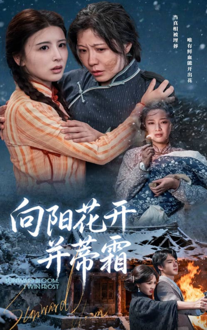 向阳花开并蒂霜封面图