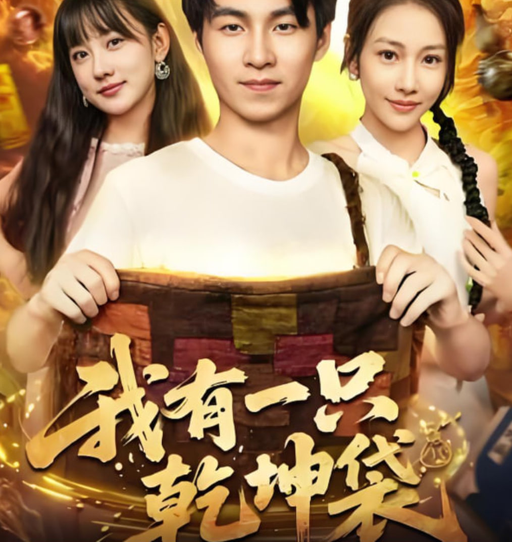 我有一只乾坤袋封面图