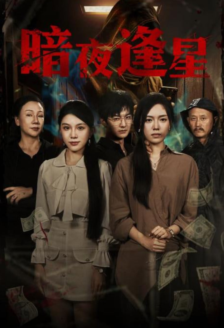 暗夜逢星封面图