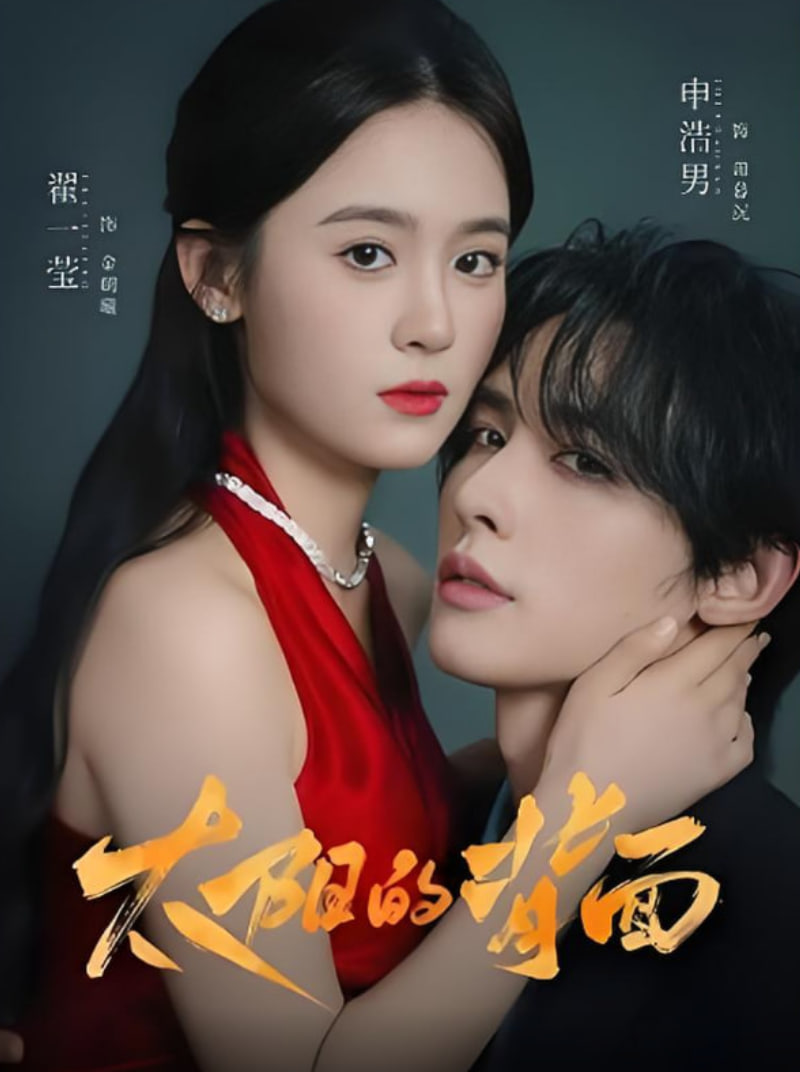 太阳的背面封面图