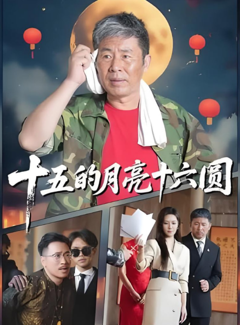 十五的月亮十六圆 2025封面图