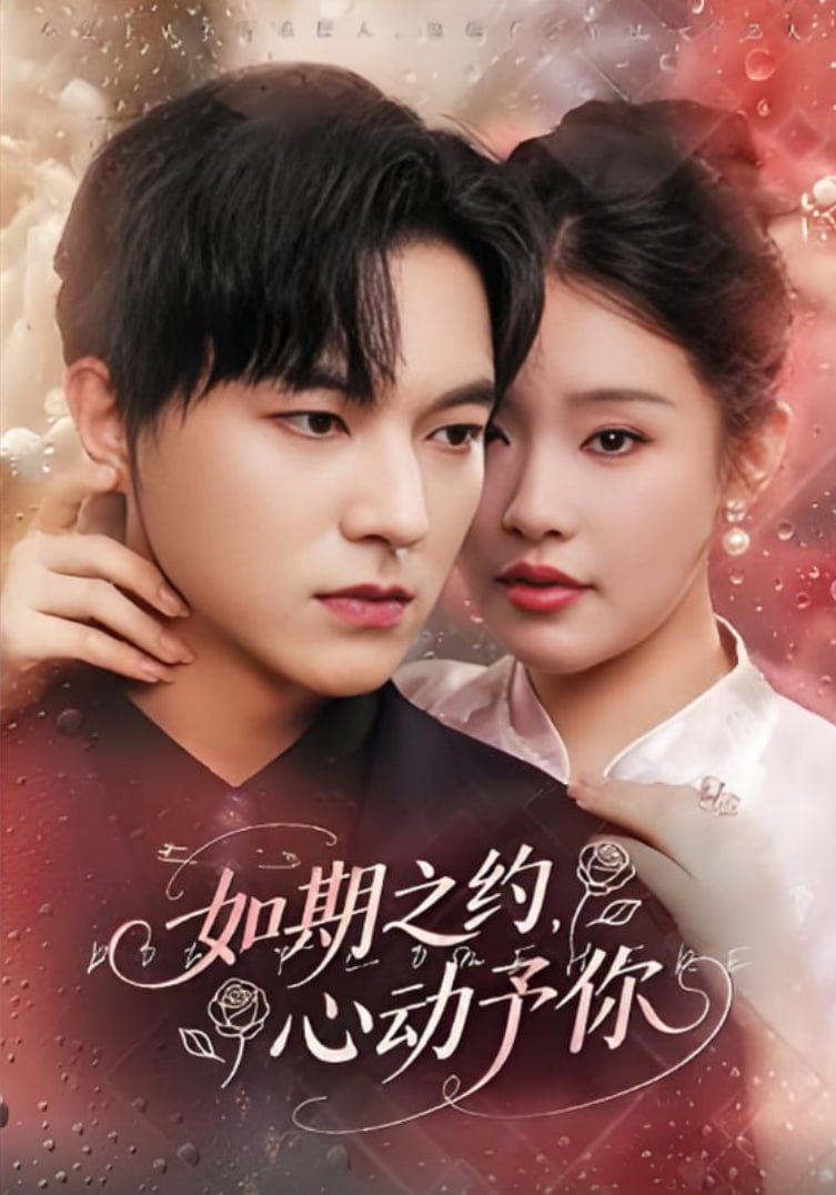 如期之约心动予你封面图
