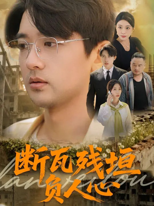 断瓦残垣负人心封面图