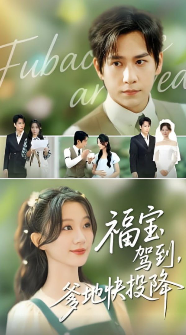 福宝驾到，爹地快投降封面图