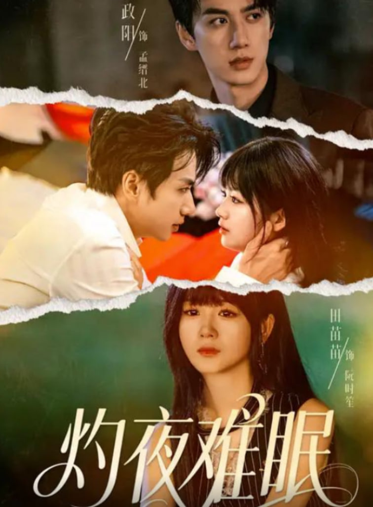 灼夜难眠封面图