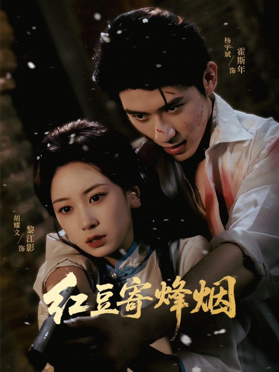 红豆寄烽烟封面图