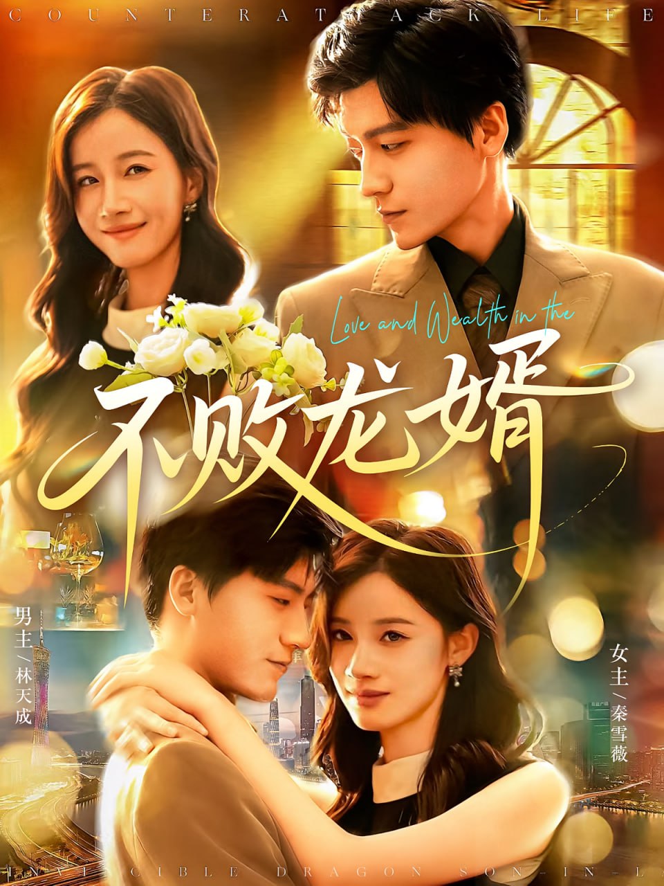 不败龙婿封面图