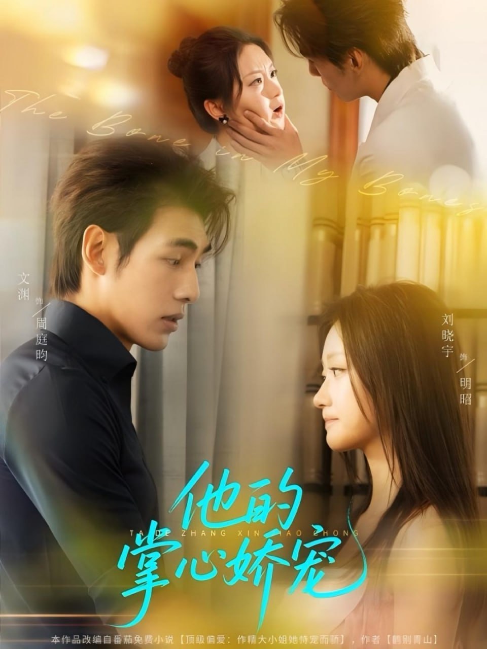 他的掌心娇宠封面图