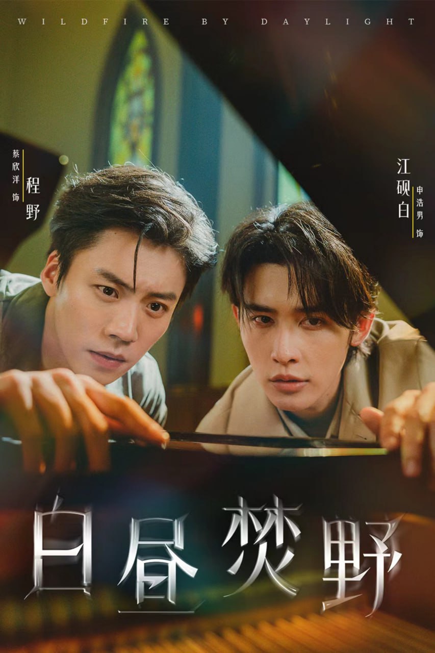 白昼焚野封面图