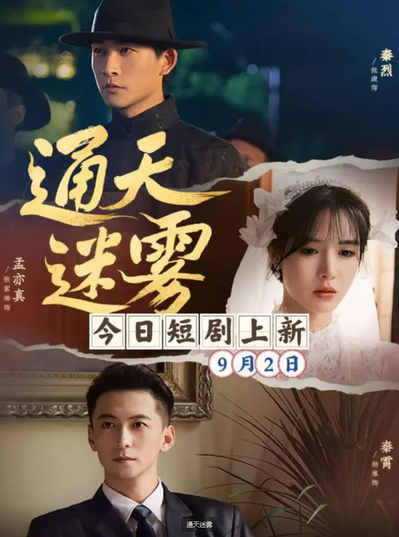 通天迷雾封面图