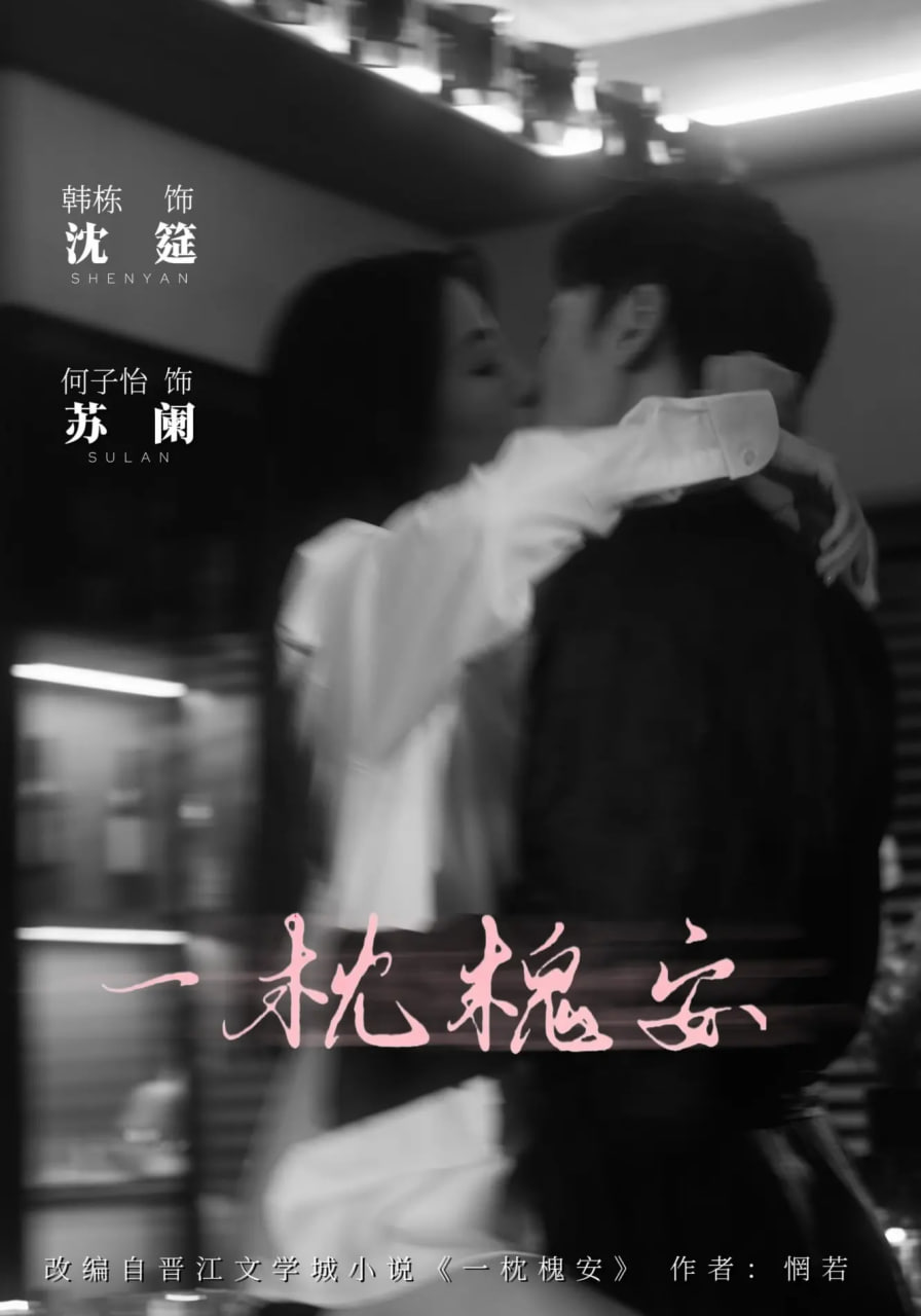 一枕槐安封面图