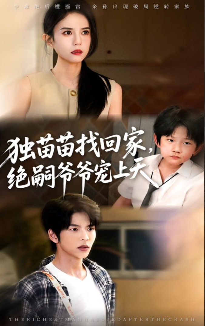 独苗苗找回家绝嗣爷爷宠上天封面图