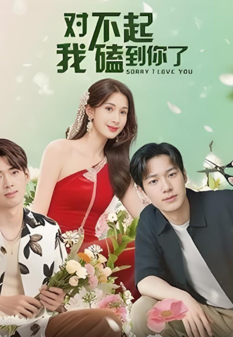 对不起我磕到你了封面图