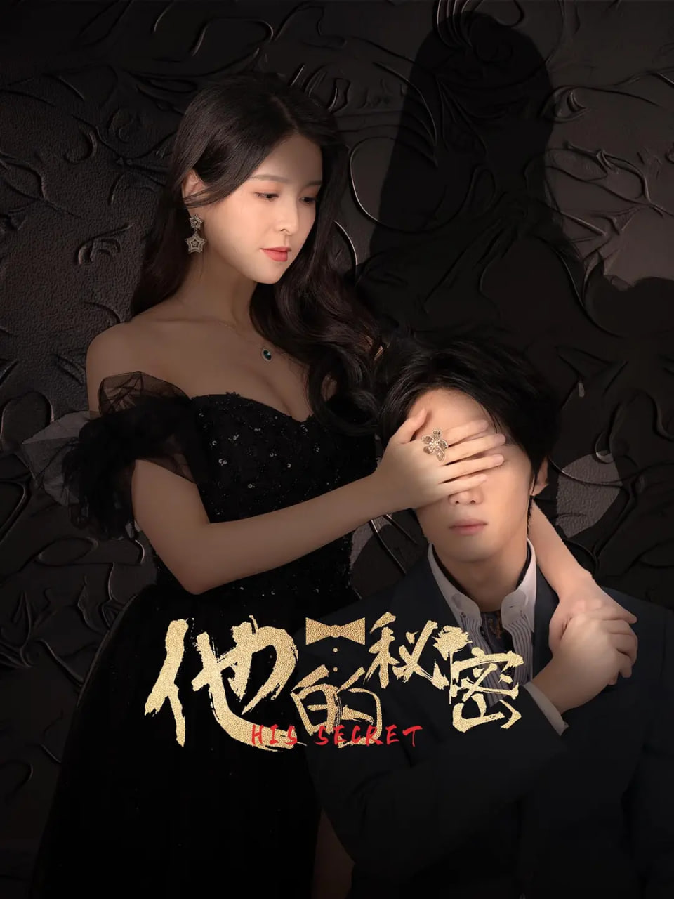 他的秘密封面图