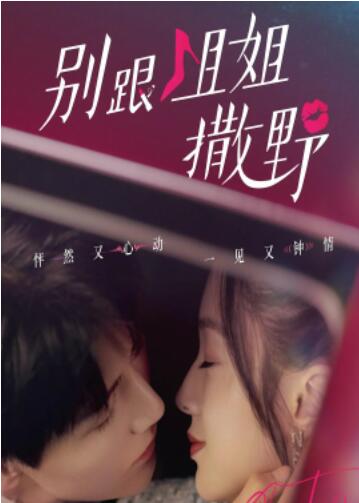 别跟姐姐撒野封面图