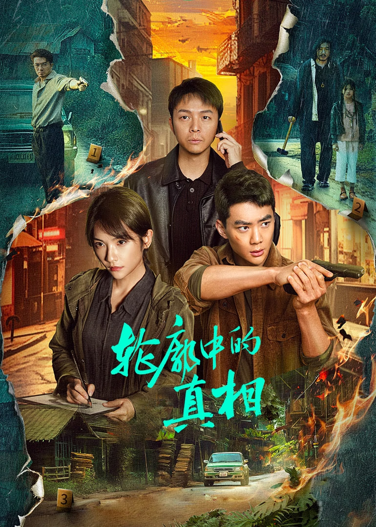 轮廓中的真相封面图