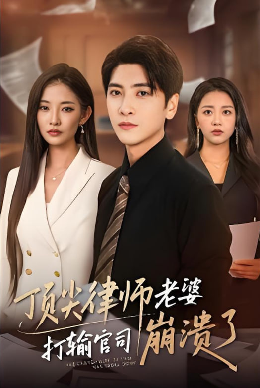 师老婆打输官司崩溃了（爱至深处不回头）封面图