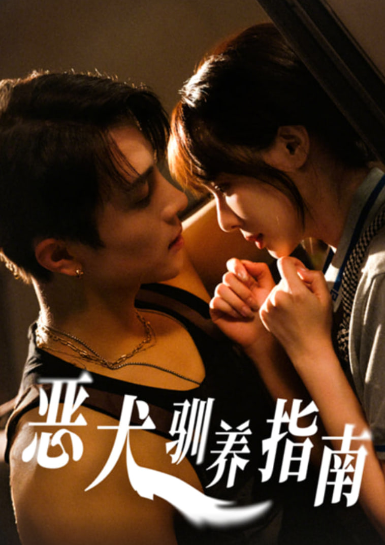 恶犬驯养指南封面图