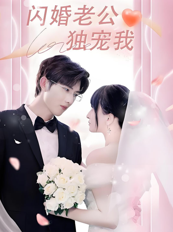闪婚老公独宠我封面图