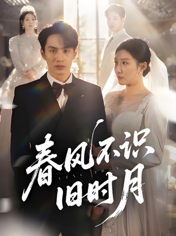 春风不识旧时月封面图