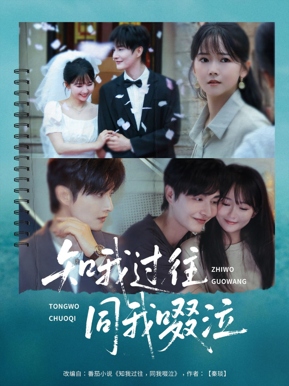 知我过往同我啜泣封面图