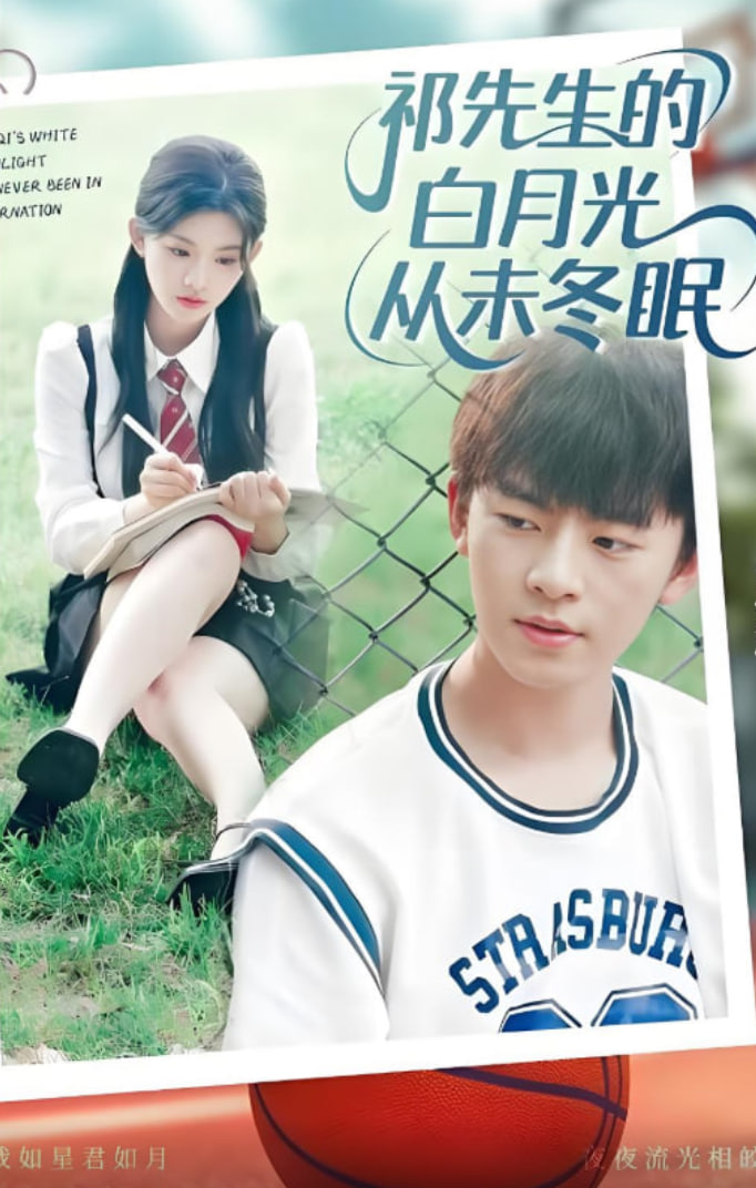 祁先生的白月光从未冬眠封面图