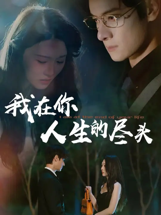 我在你人生的尽头封面图