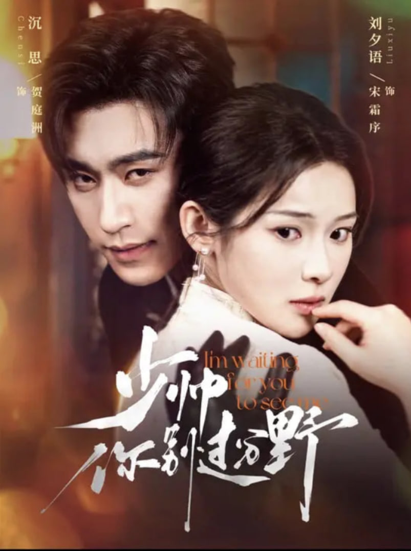 少帅你别过分野封面图