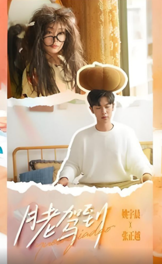 月老驾到封面图