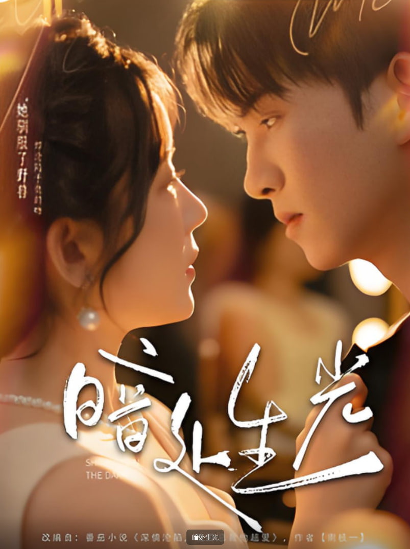 暗处生光封面图