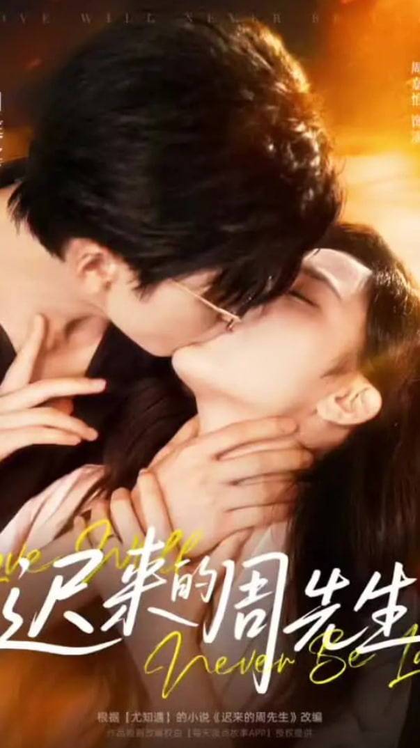 迟来的周先生封面图