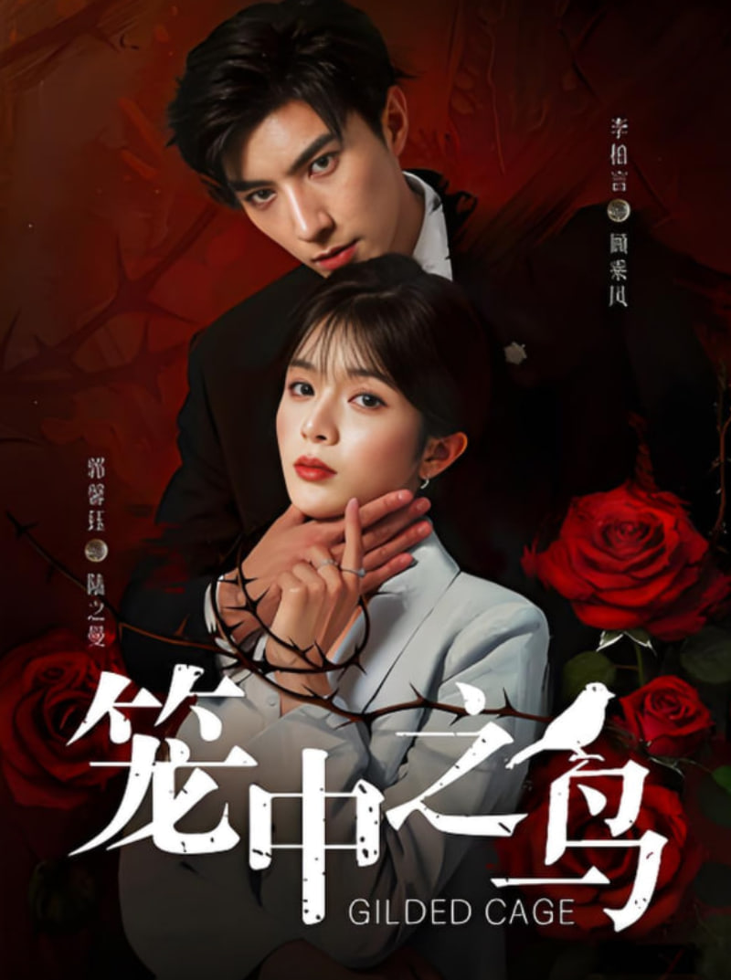 笼中之鸟封面图