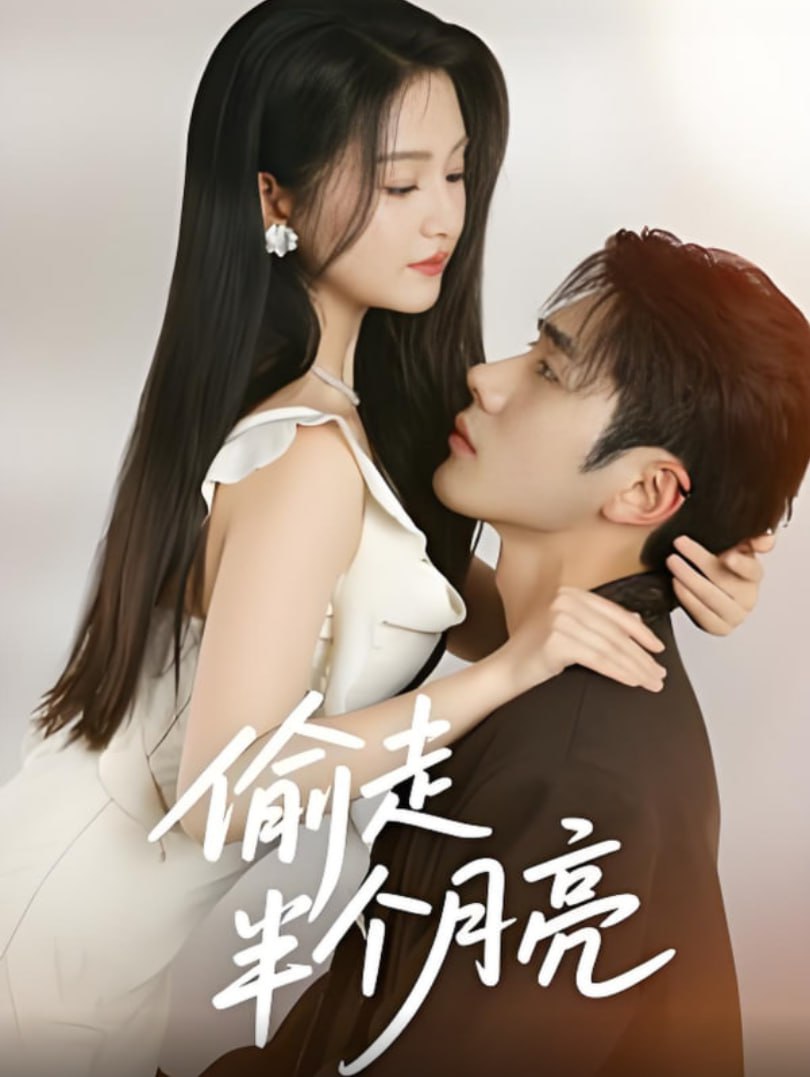 偷走半个月亮封面图