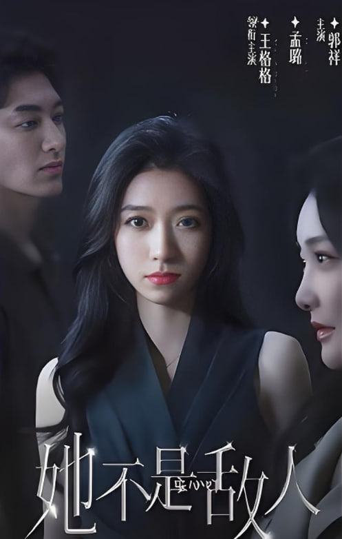 她不是敌人封面图