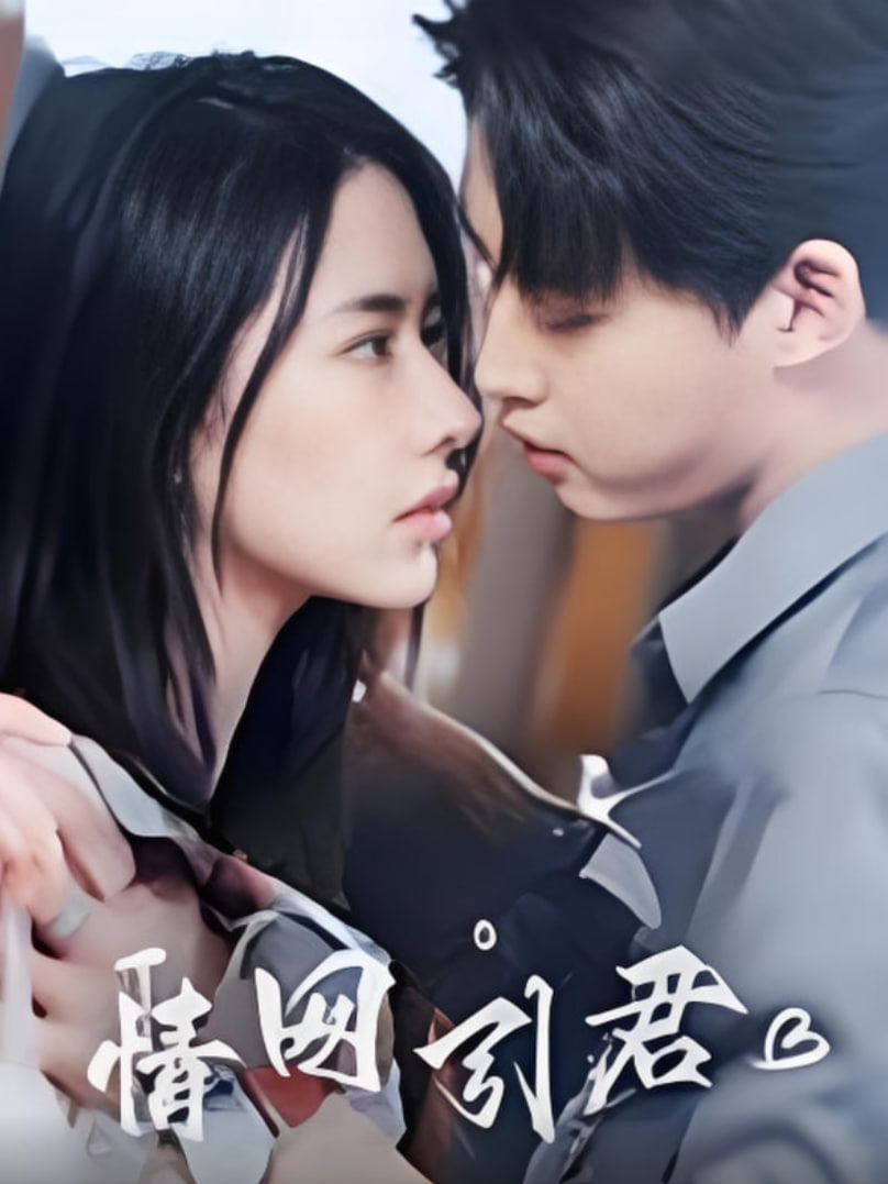 情网引君封面图