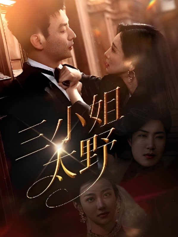 三小姐太野封面图