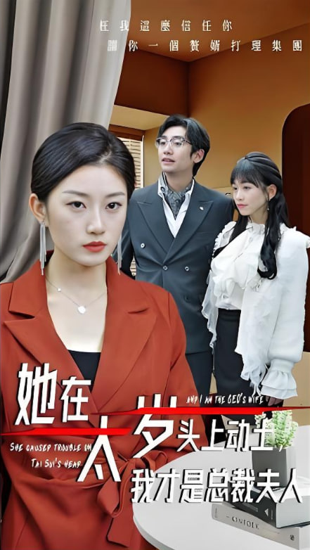 她在太岁头上动土，我才是总裁夫人封面图