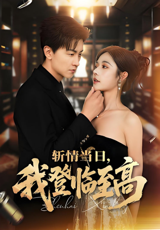 斩情当日，我登临至高封面图