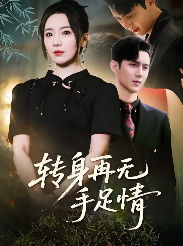 转身再无手足情封面图