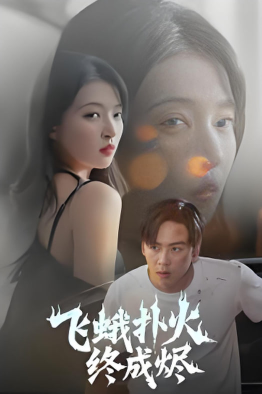 飞蛾扑火终成烬封面图