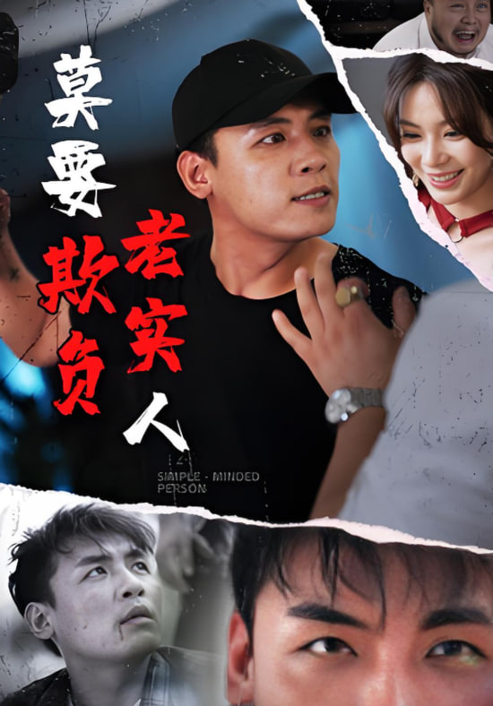 莫要欺负老实人封面图