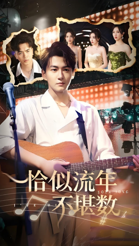 恰似流年不堪数封面图