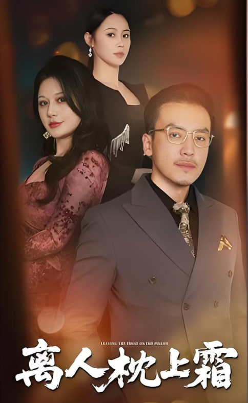 离人枕上霜封面图