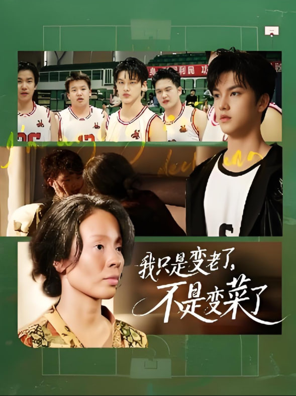 我只是变老了，不是变菜了封面图