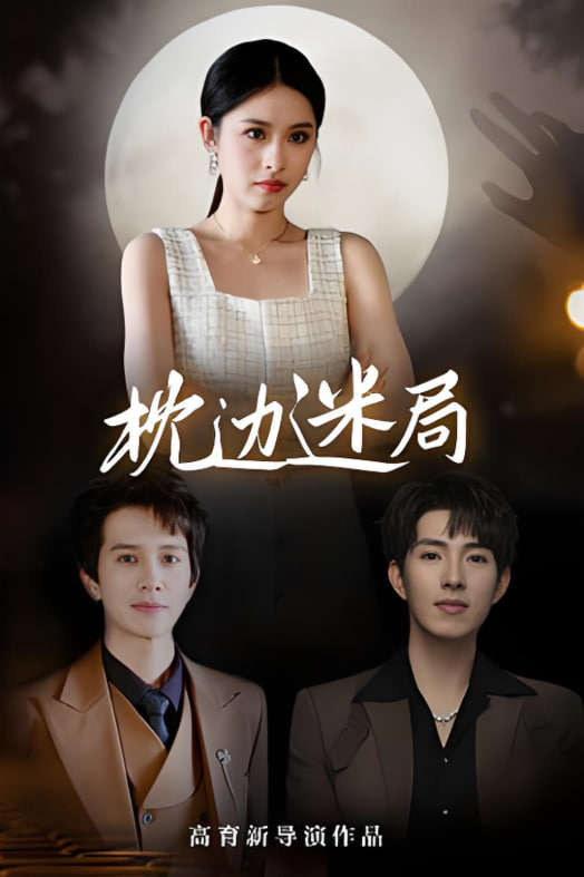 枕边迷局封面图