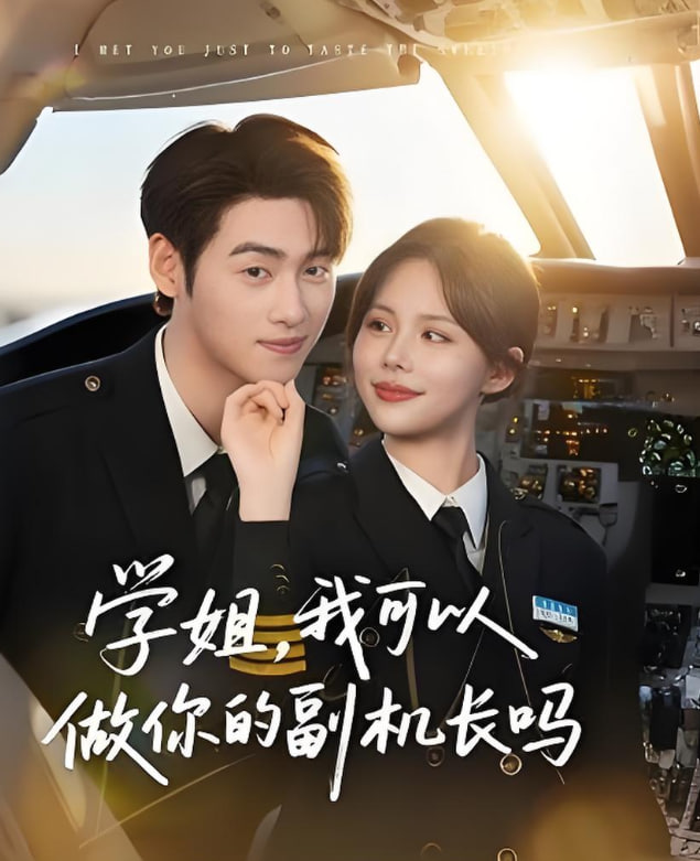 学姐我可以做你的副机长吗封面图